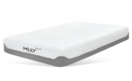 13" MLILY FUSION 2000 