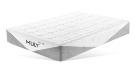 12" MLILY FUSION 1000  