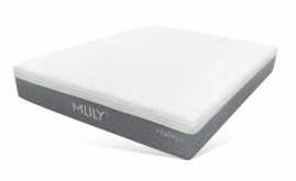 12" MLILY VITALITY